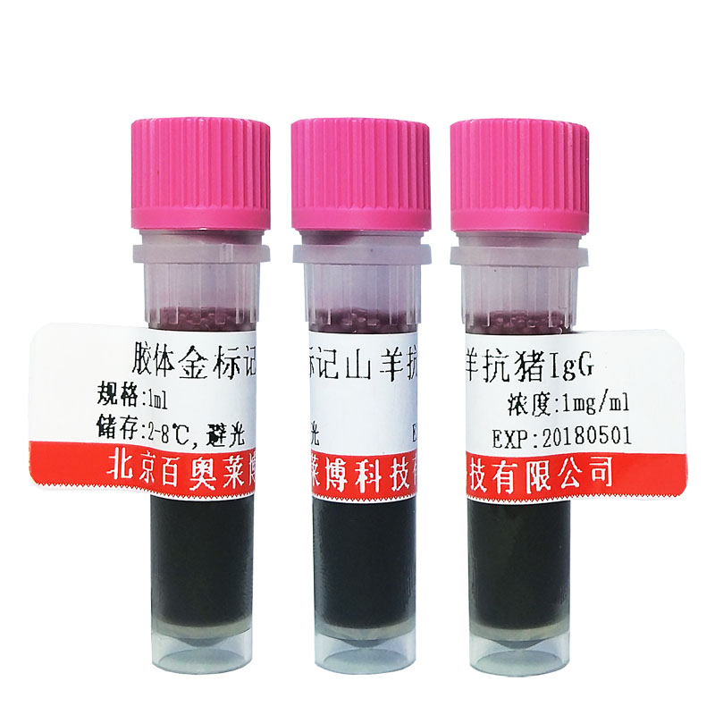 胶体金标记山羊抗猪IgG(H+L)抗体图片